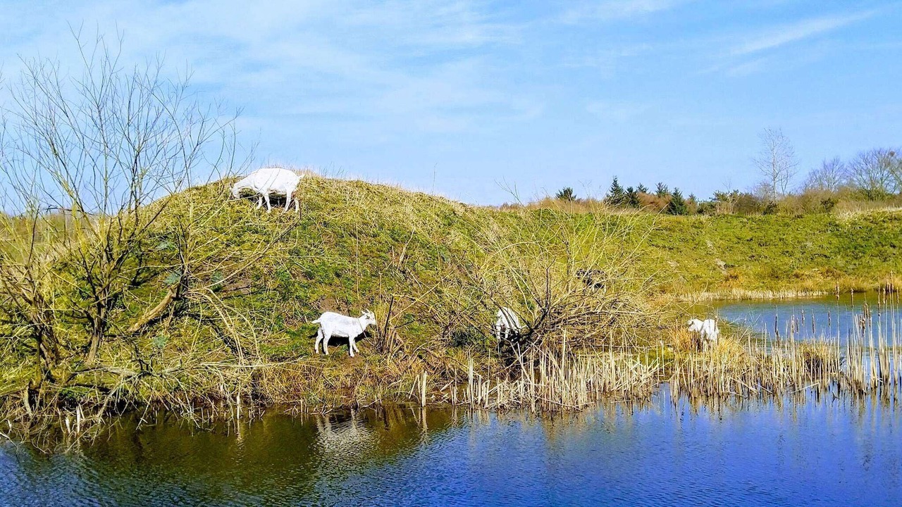 Photo of Others in Ringkobing