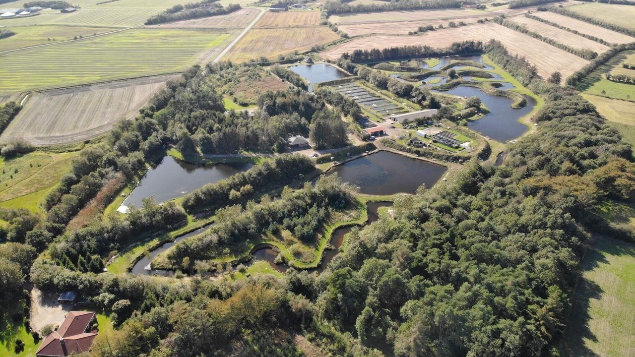 Photo of Outdoor in Ringkobing