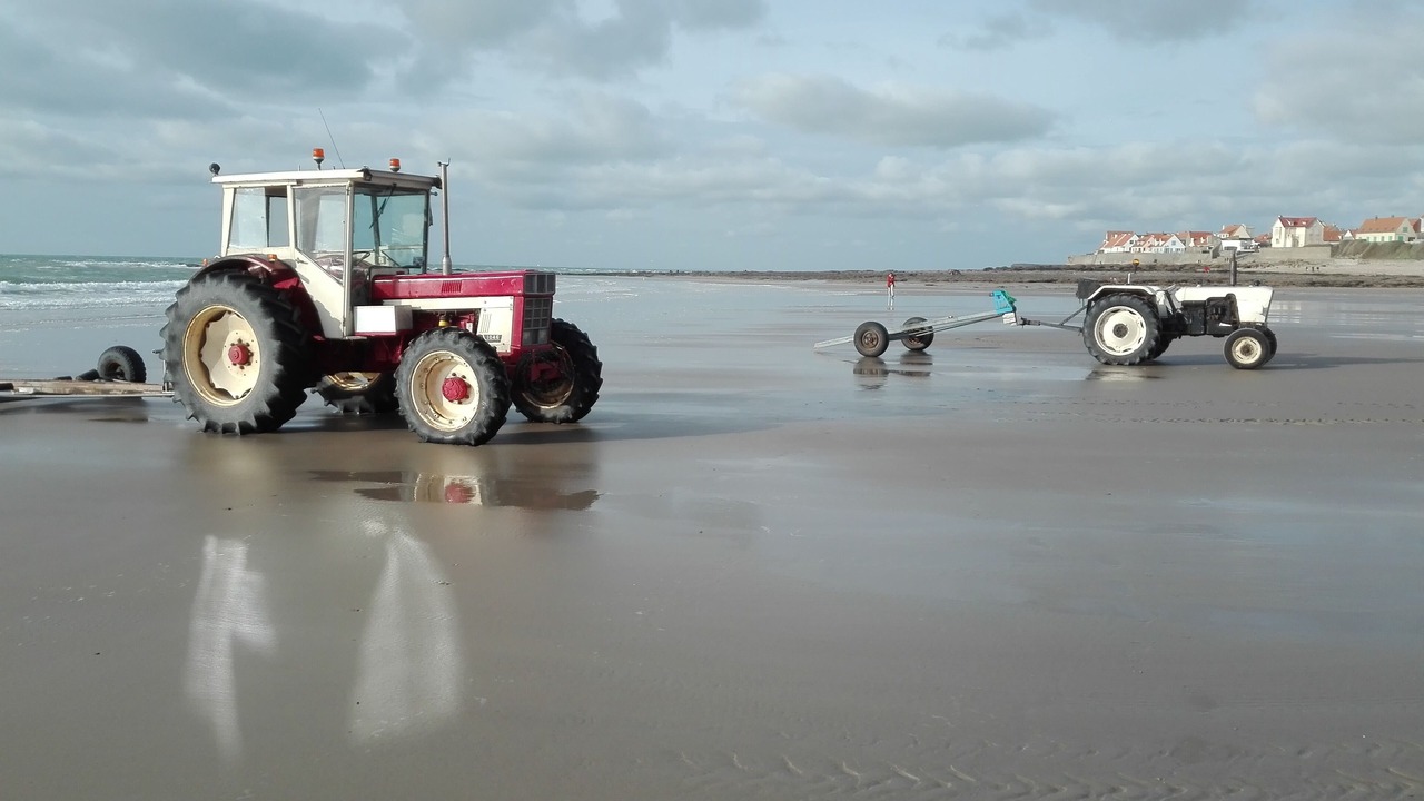 Photo of Others in Wimereux