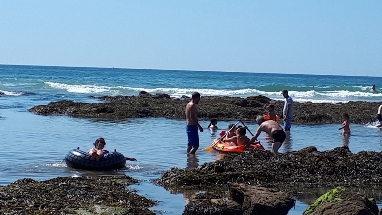 Photo of Others in Les Sables d'Olonne