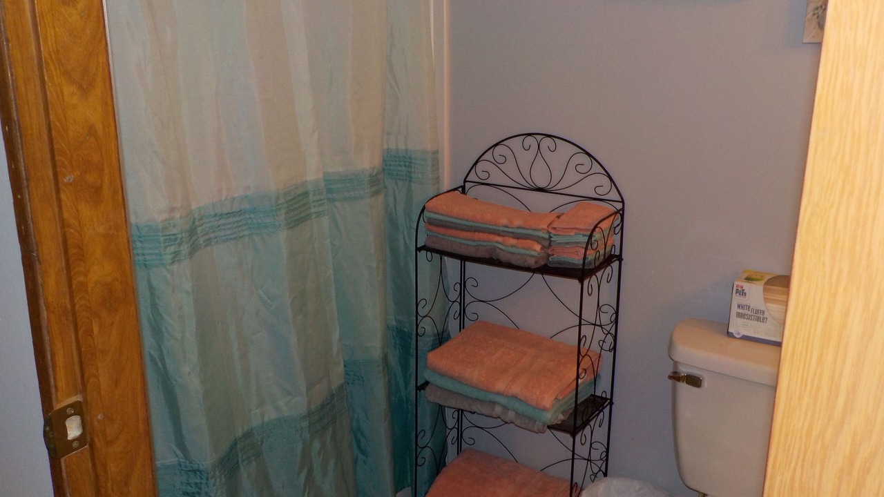 Photo of Bathroom in Limestone