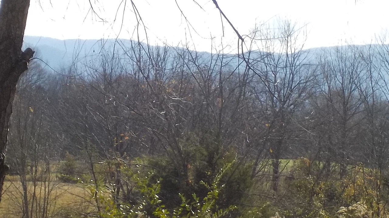 Photo of Outdoor in Limestone