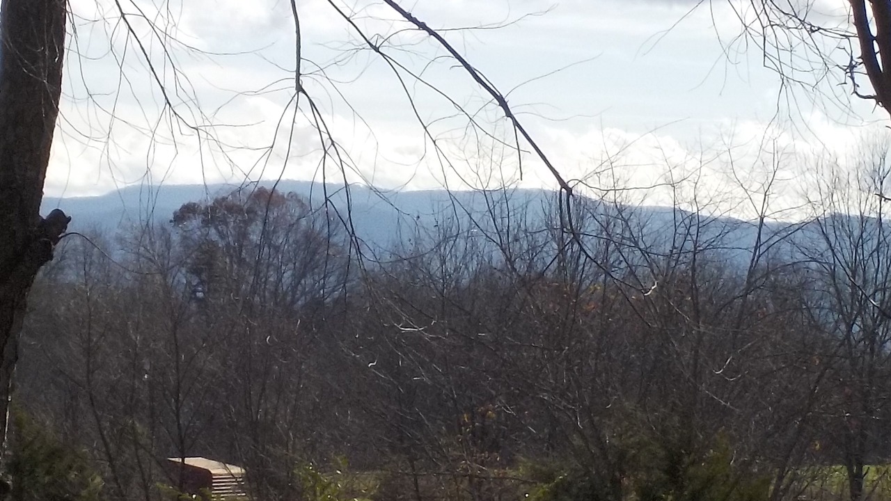 Photo of Others in Limestone