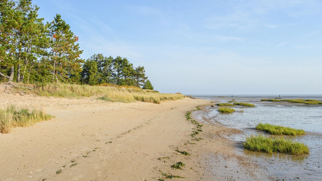 Photo of Others in Rømø Kirkeby