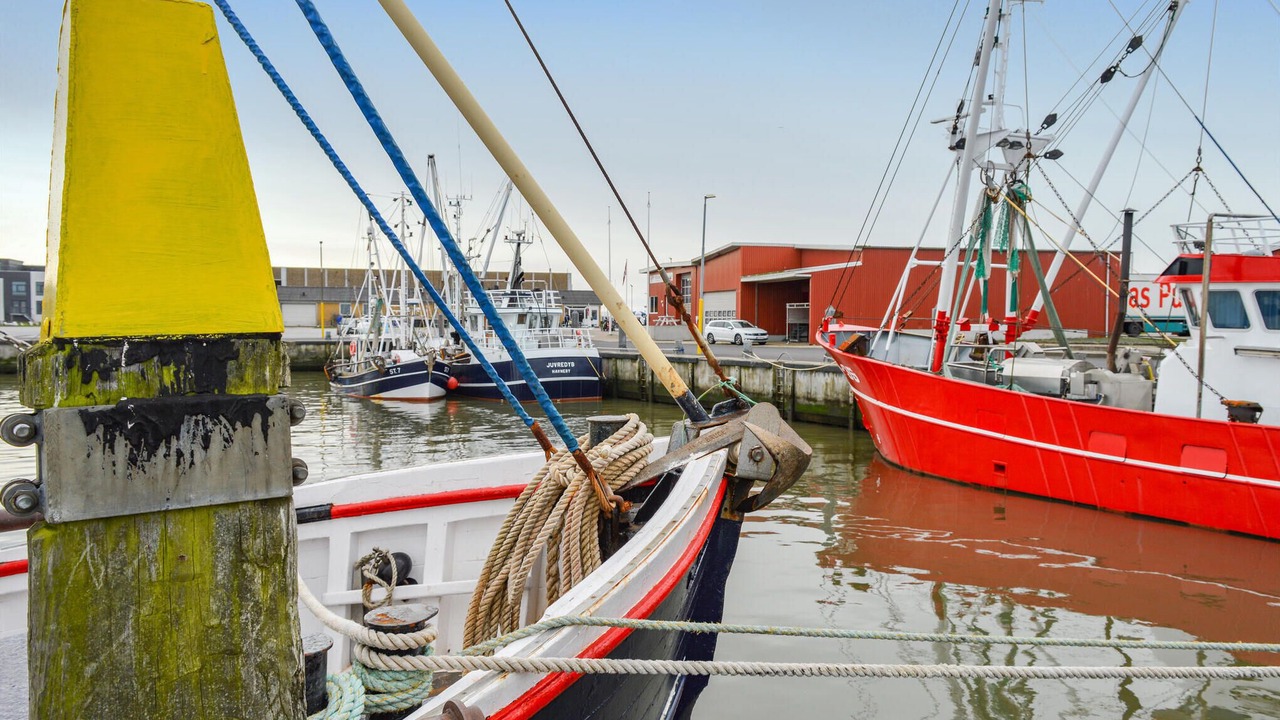 Photo of Others in Rømø Kirkeby