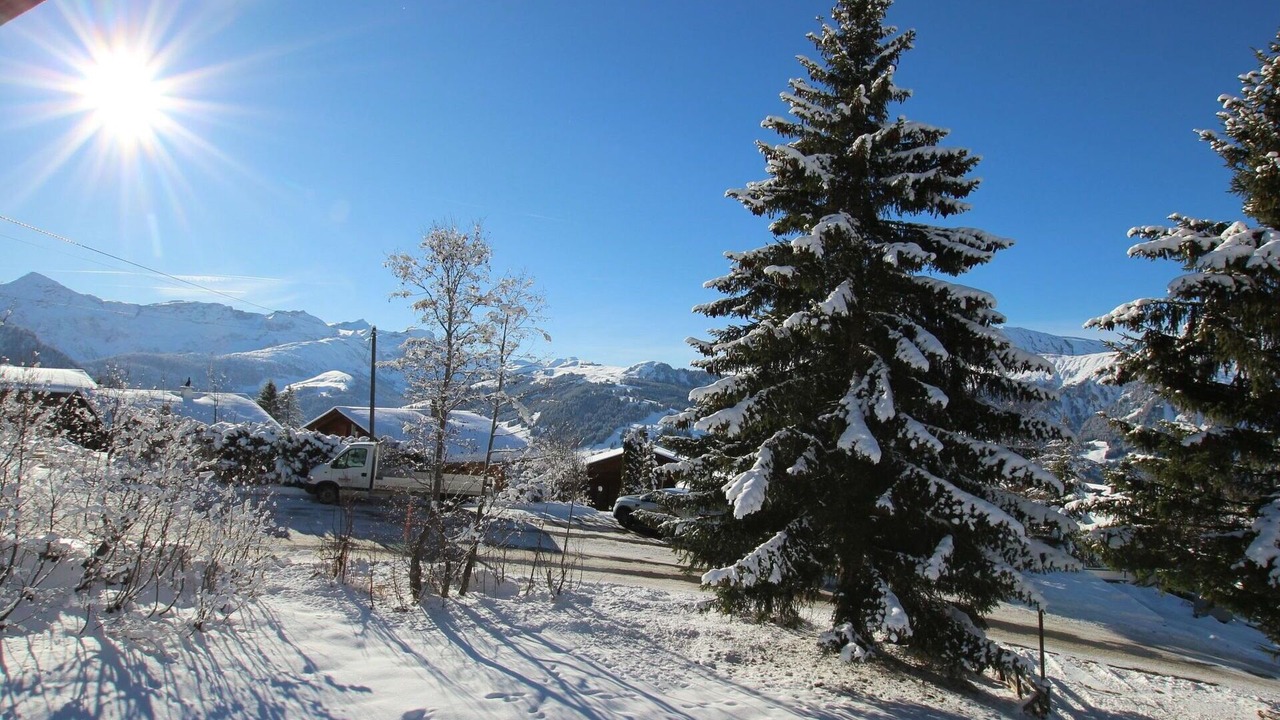 Photo of Others in Lenk