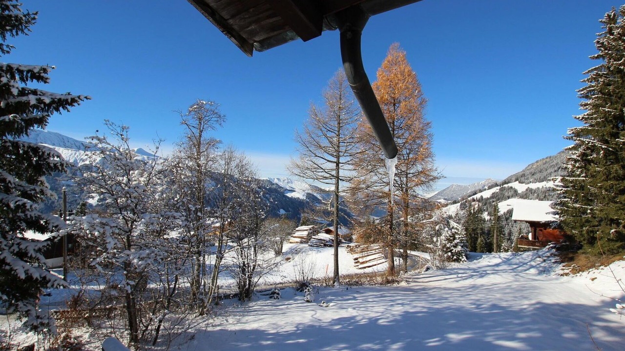 Photo of Others in Lenk
