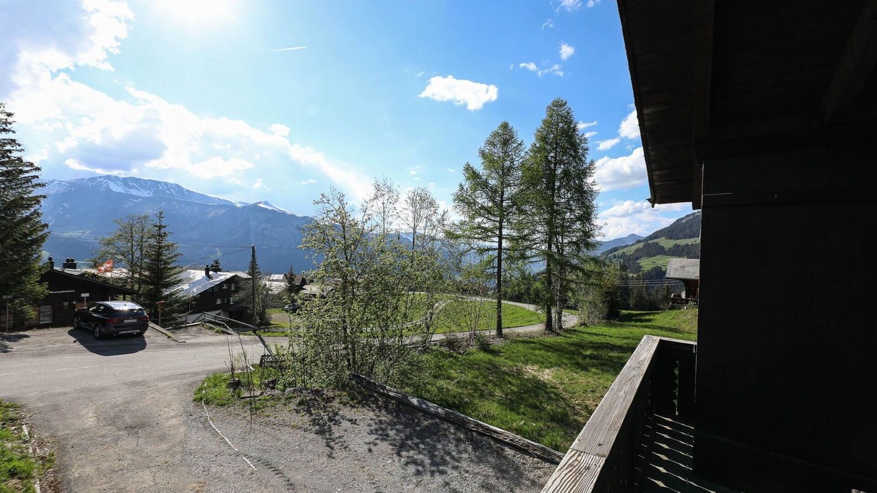 Photo of Others in Lenk
