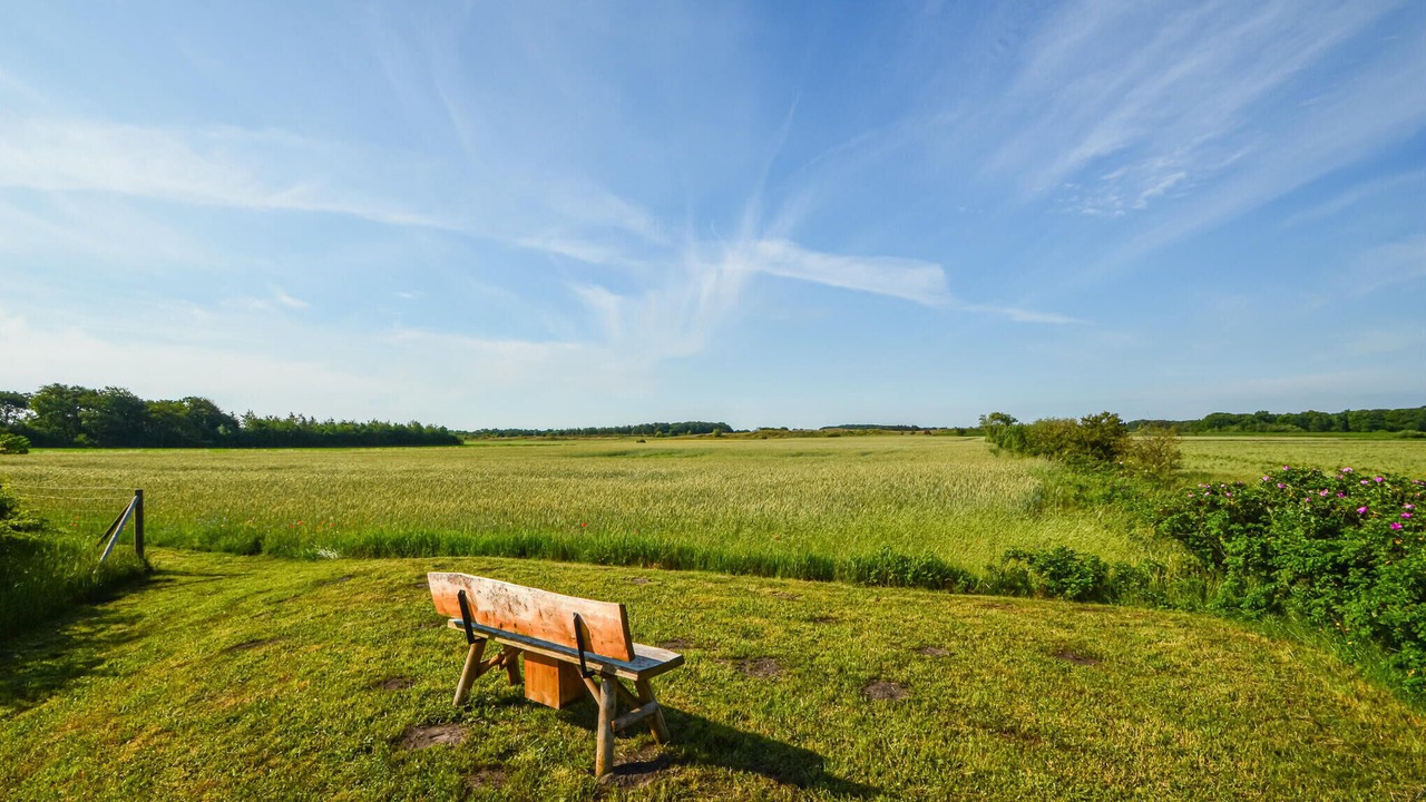 Photo of Others in Gram