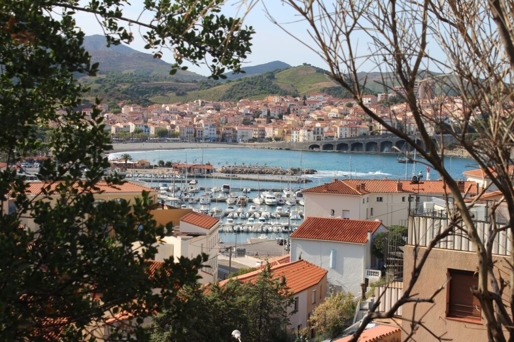 Photo of Others in Banyuls-sur-Mer