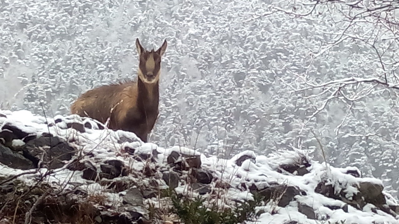Photo of Outdoor in Torla-Ordesa