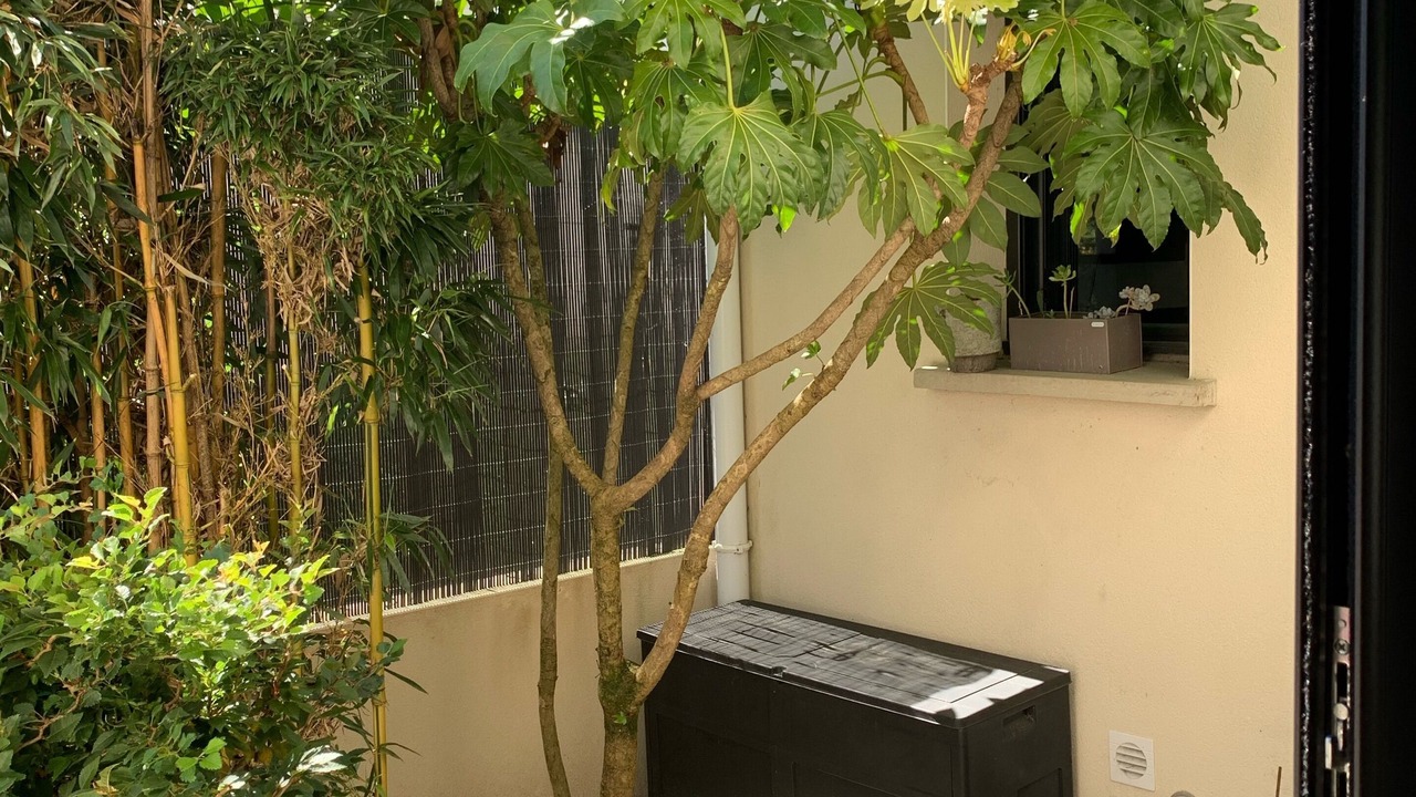 Photo of Outdoor in Muzillac
