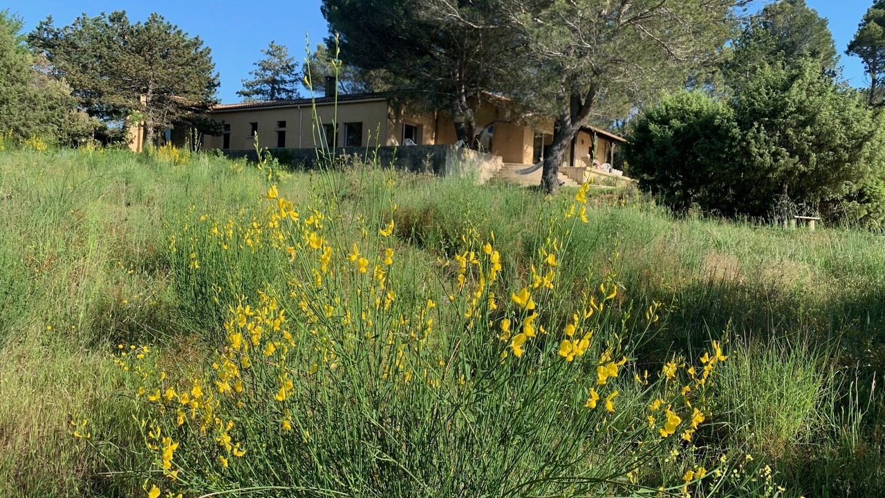 Photo of Outdoor in Saint-Siffret