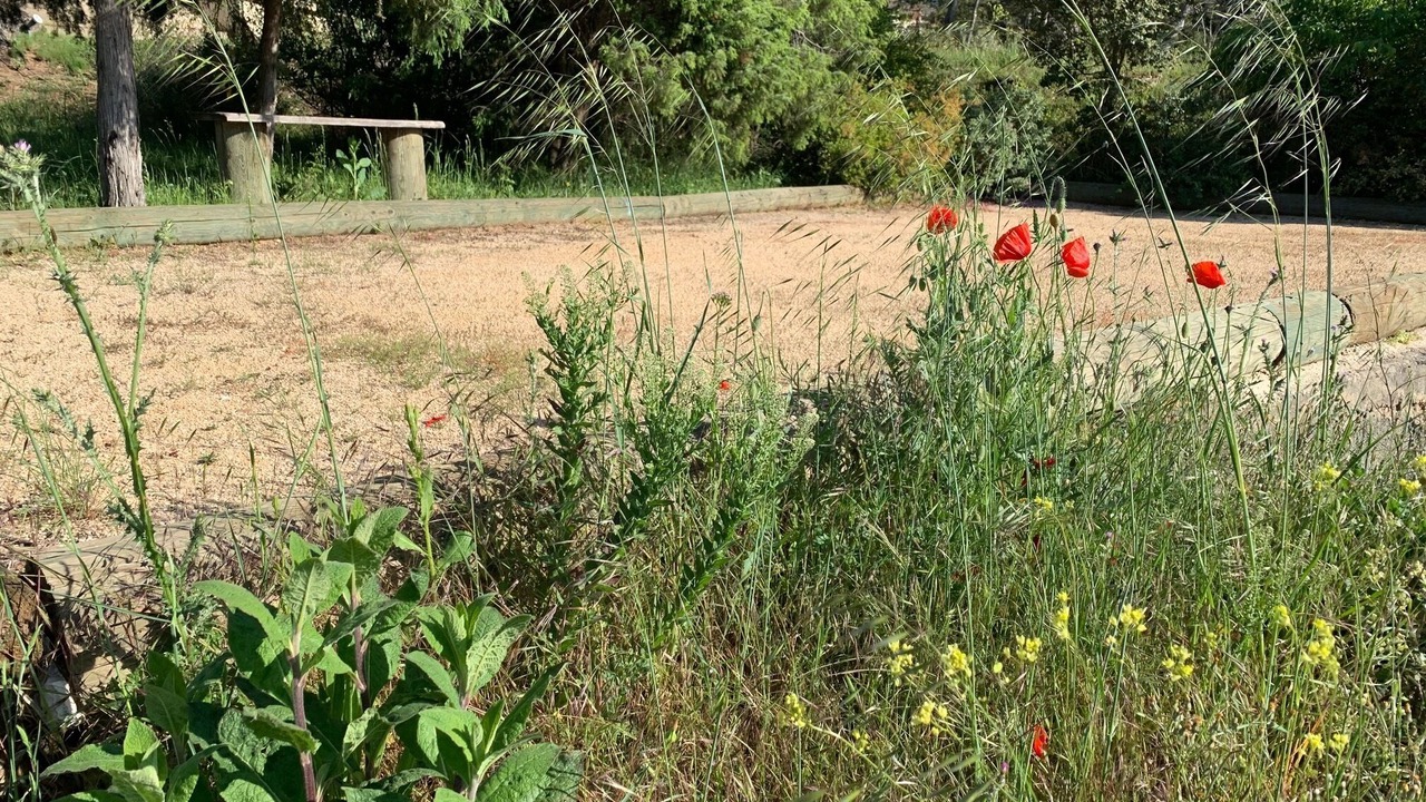 Photo of Outdoor in Saint-Siffret