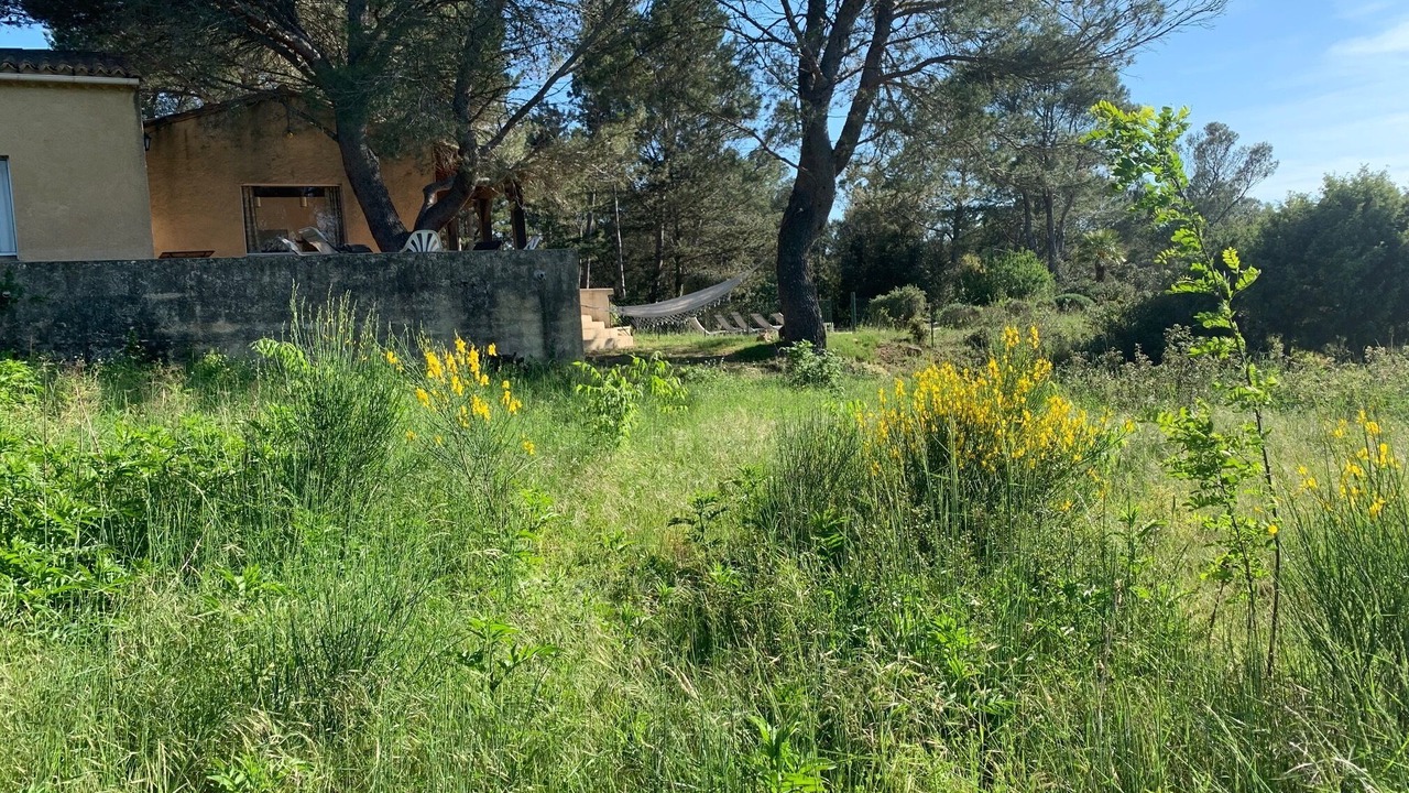 Photo of Outdoor in Saint-Siffret