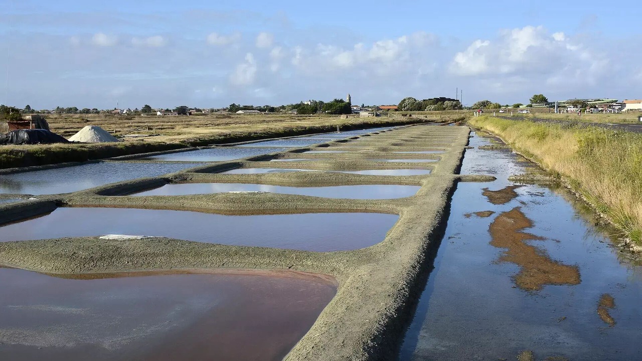 Photo of Others in Guerande