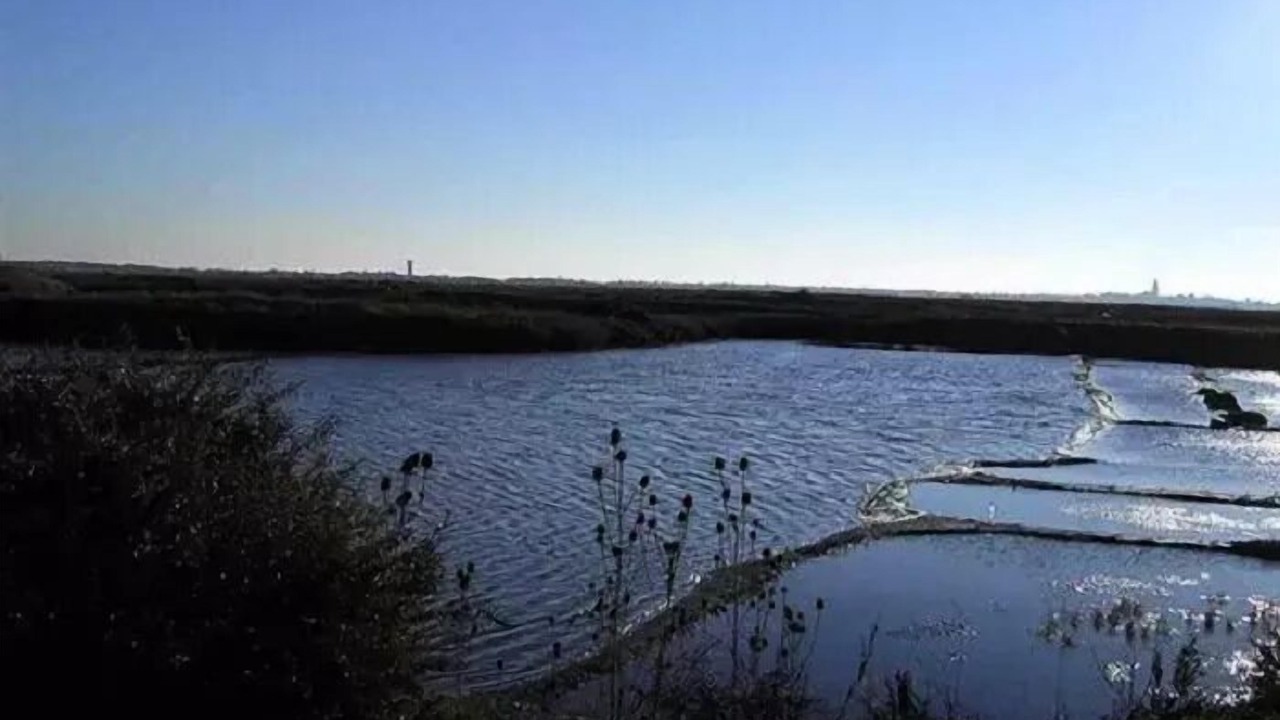 Photo of Others in Guerande
