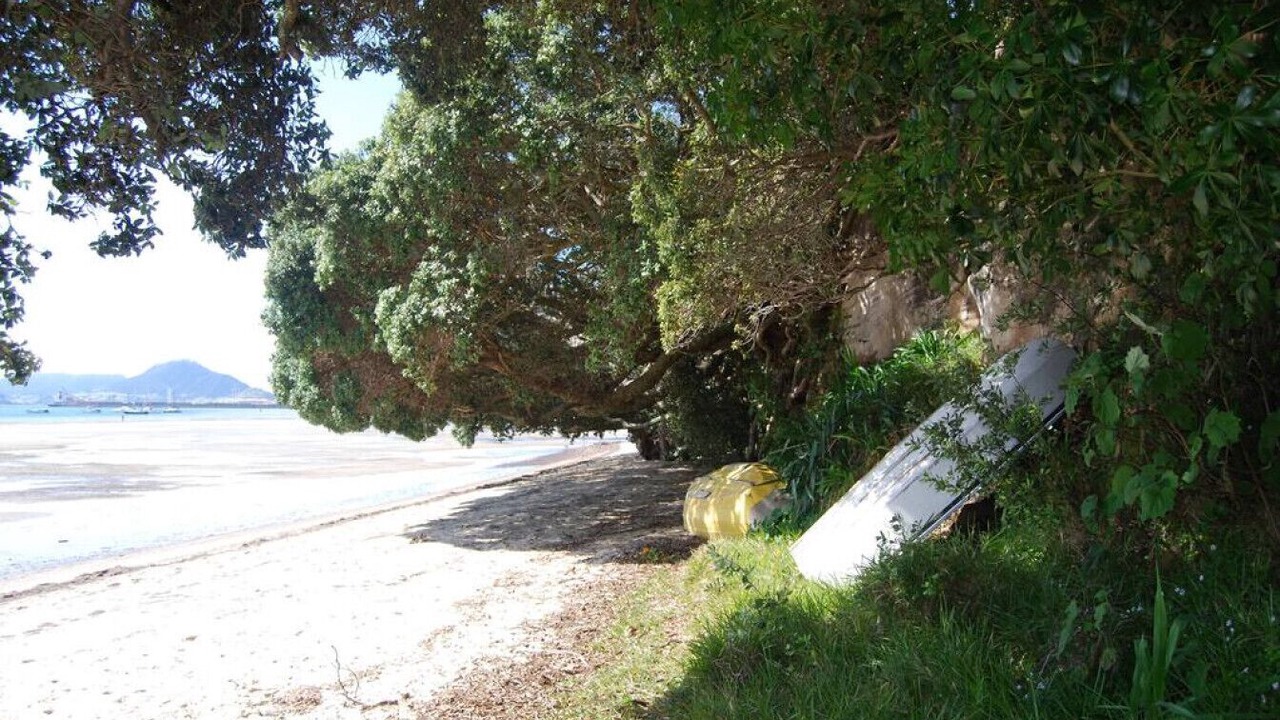 Photo of Others in One Tree Point