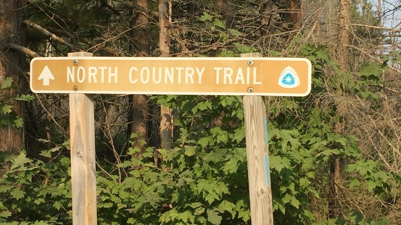 Photo of Outdoor in Newberry