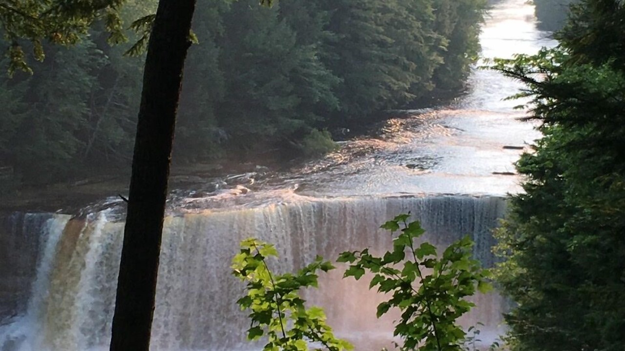 Photo of Outdoor in Newberry