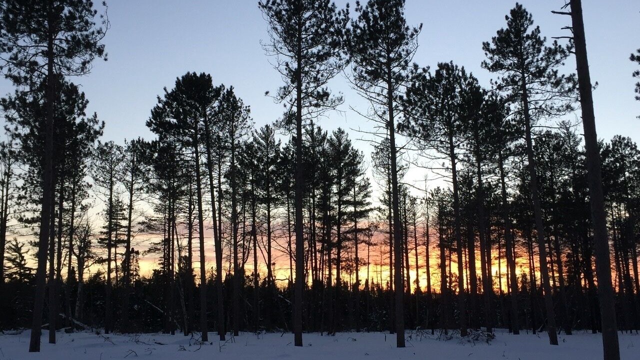 Photo of Outdoor in Newberry