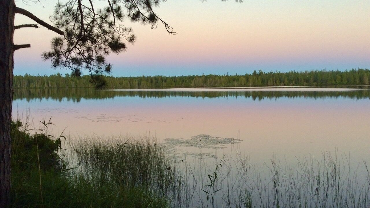 Photo of Outdoor in Newberry
