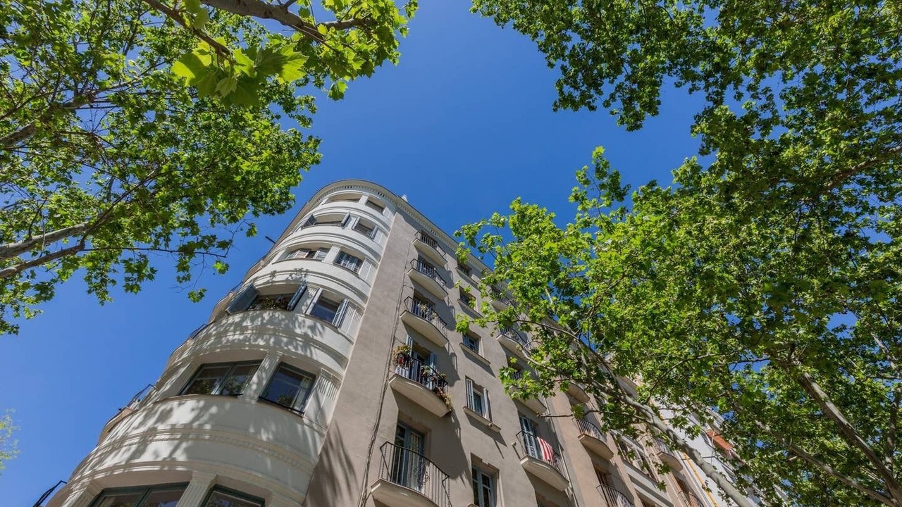 Photo of Outdoor in El Parc i la Llacuna del Poblenou