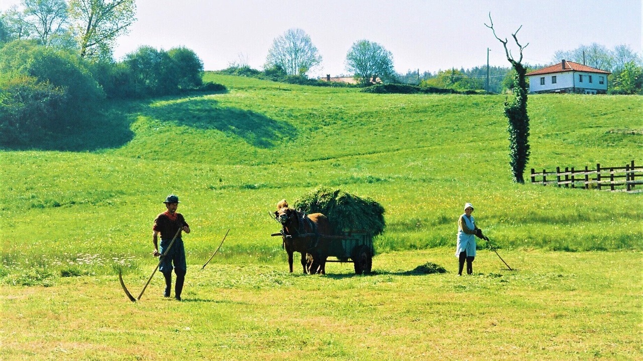 Photo of Others in Rumoroso