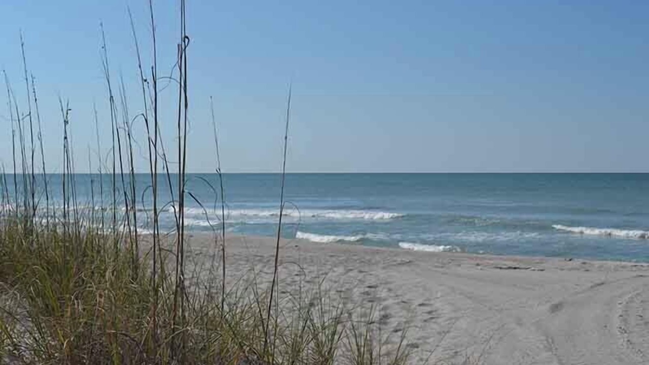 Photo of Others in Longboat Key