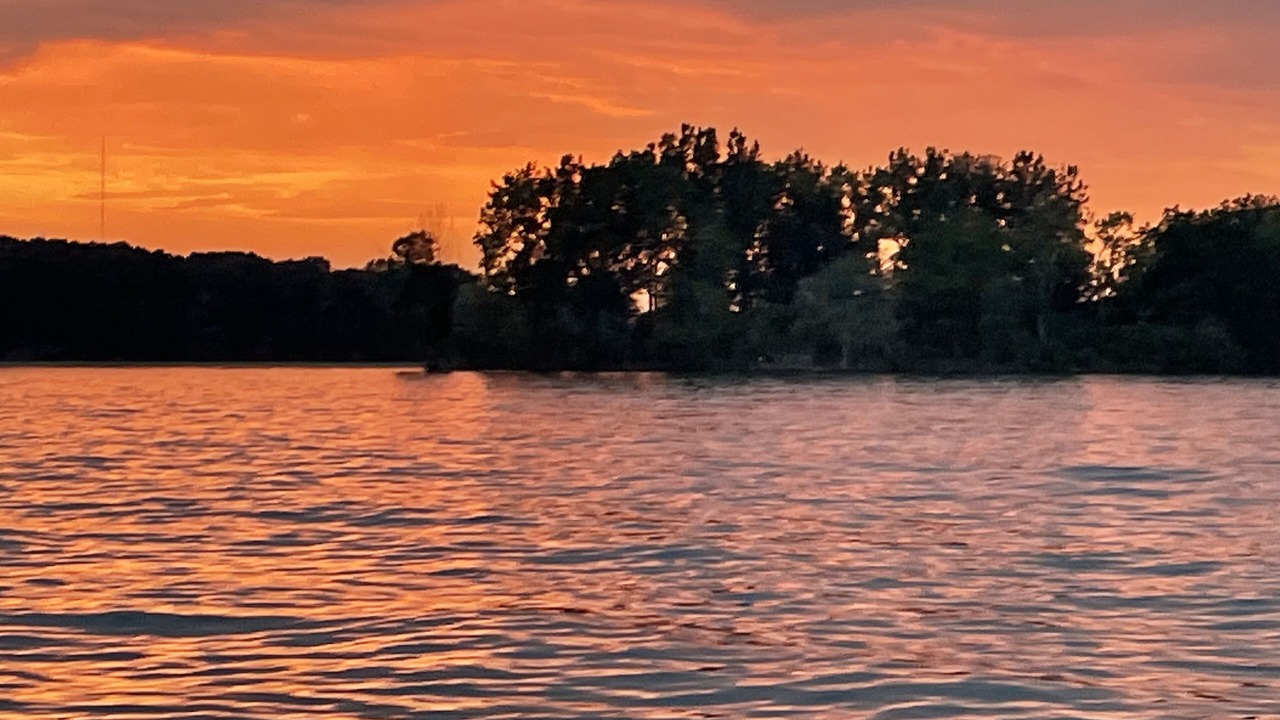 Photo of Others in Grosse Ile