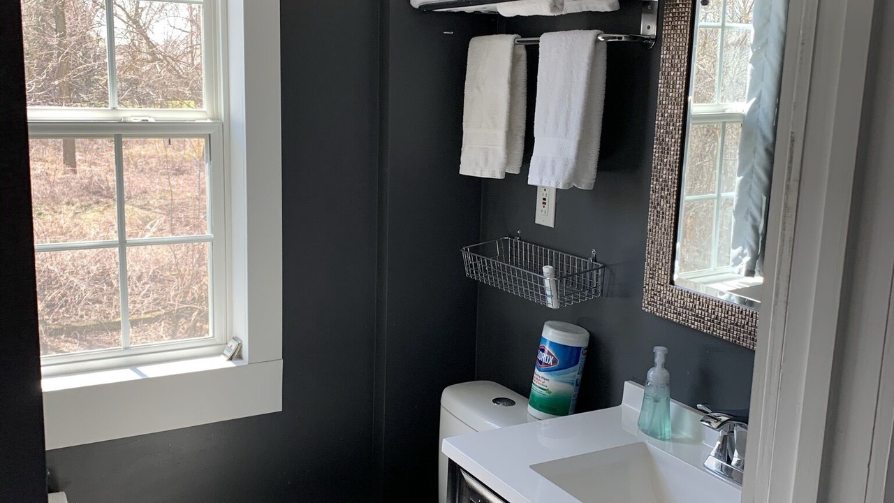 Photo of Bathroom in Grosse Ile