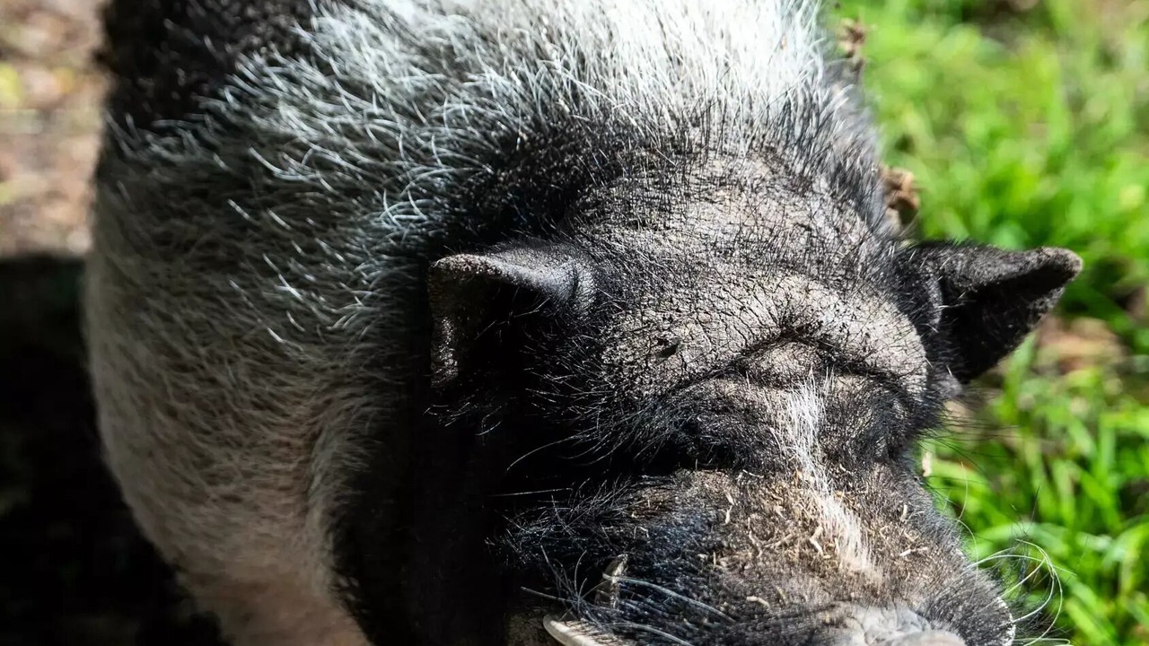 Photo of Others in Bar-sur-Aube