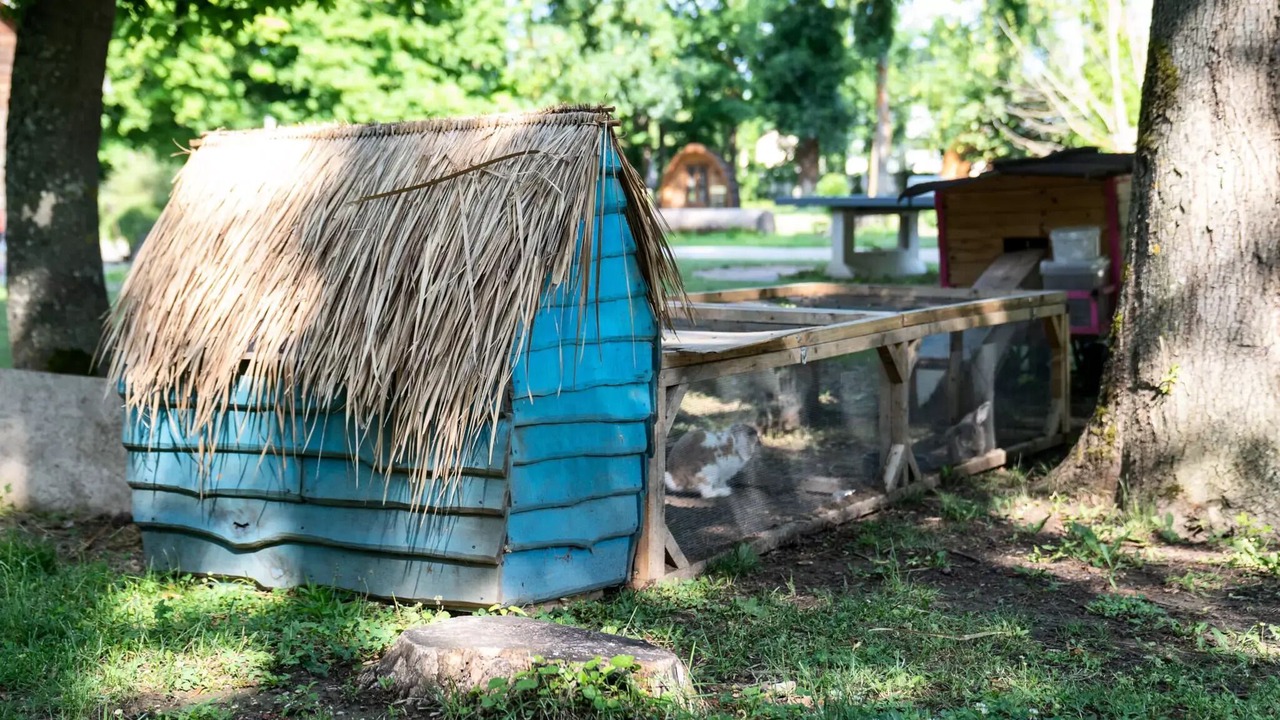 Photo of Outdoor in Bar-sur-Aube