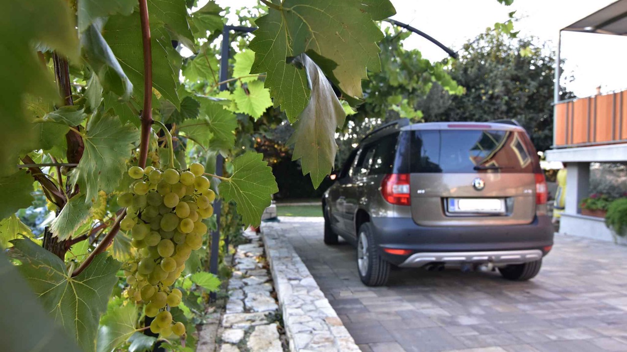 Photo of Outdoor in Savudrija