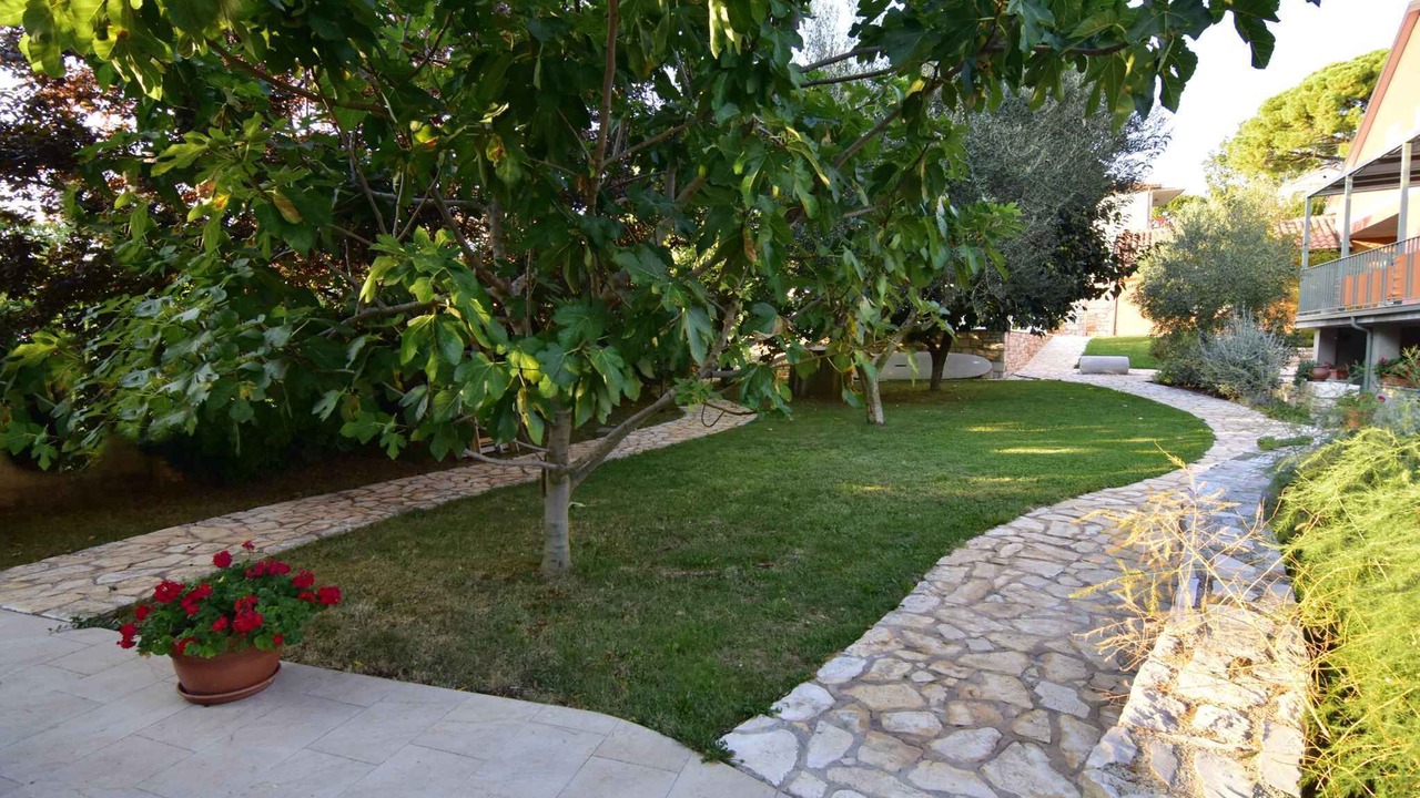 Photo of Outdoor in Savudrija