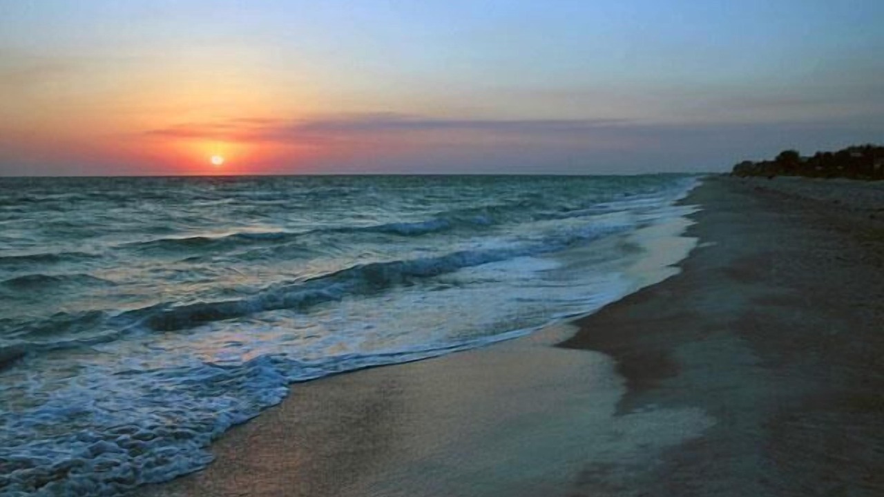 Photo of Others in Longboat Key