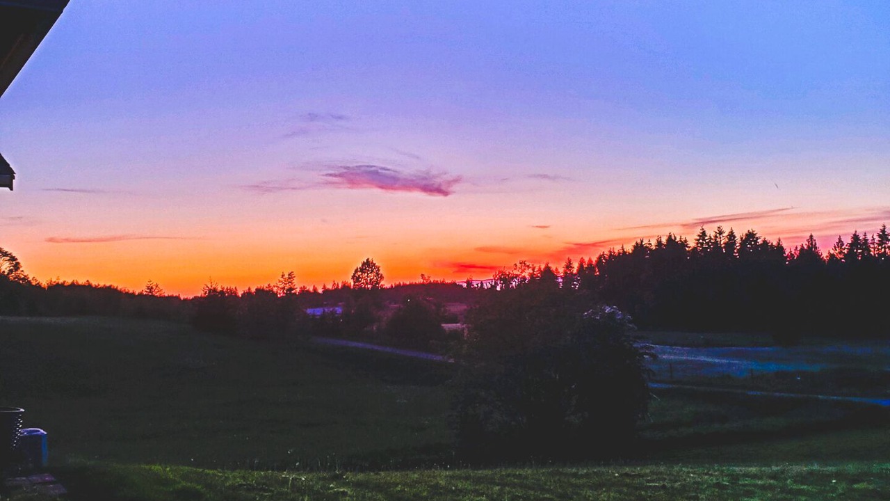 Photo of Outdoor in Port Angeles