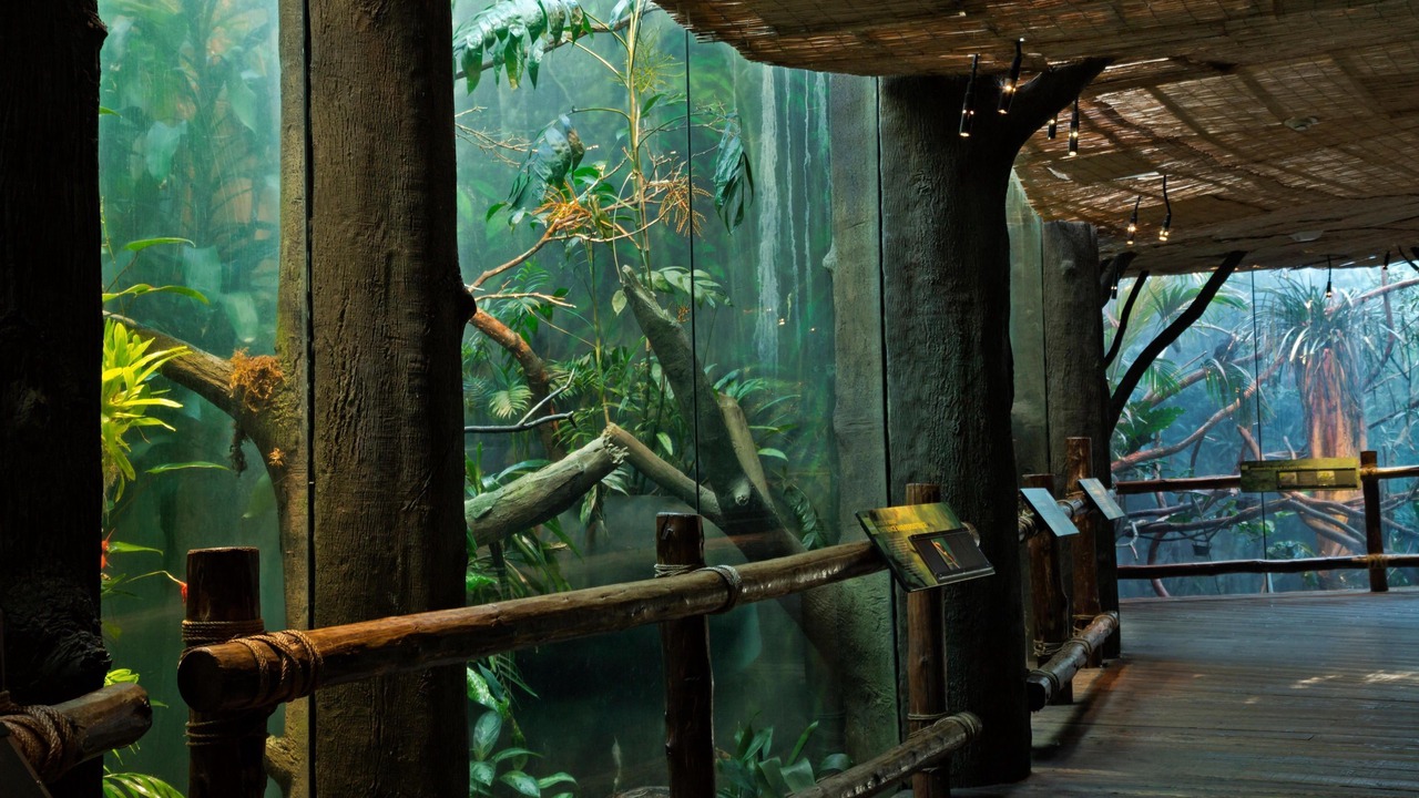 Photo of Others in Fremont