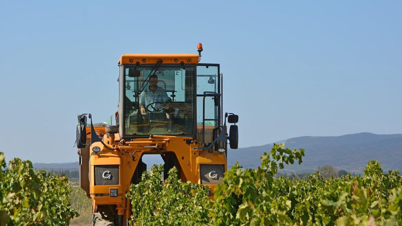 Photo of Others in Olonzac