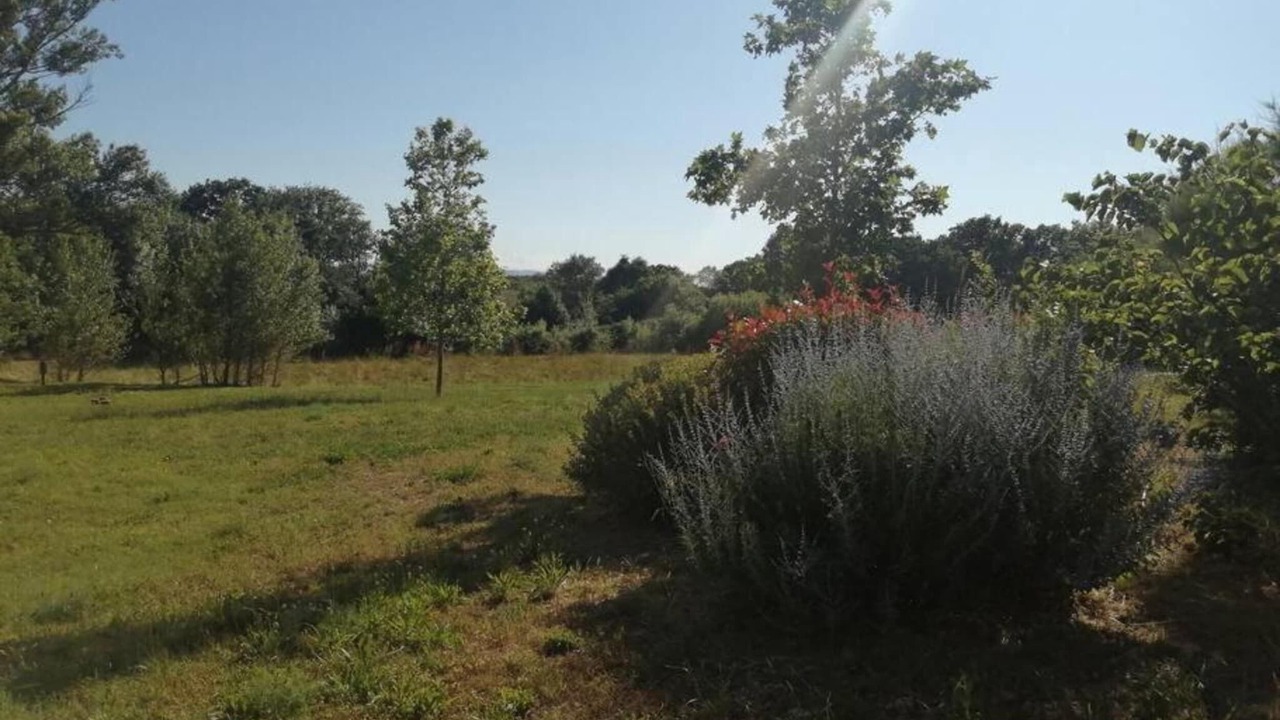 Photo of Others in Olonzac