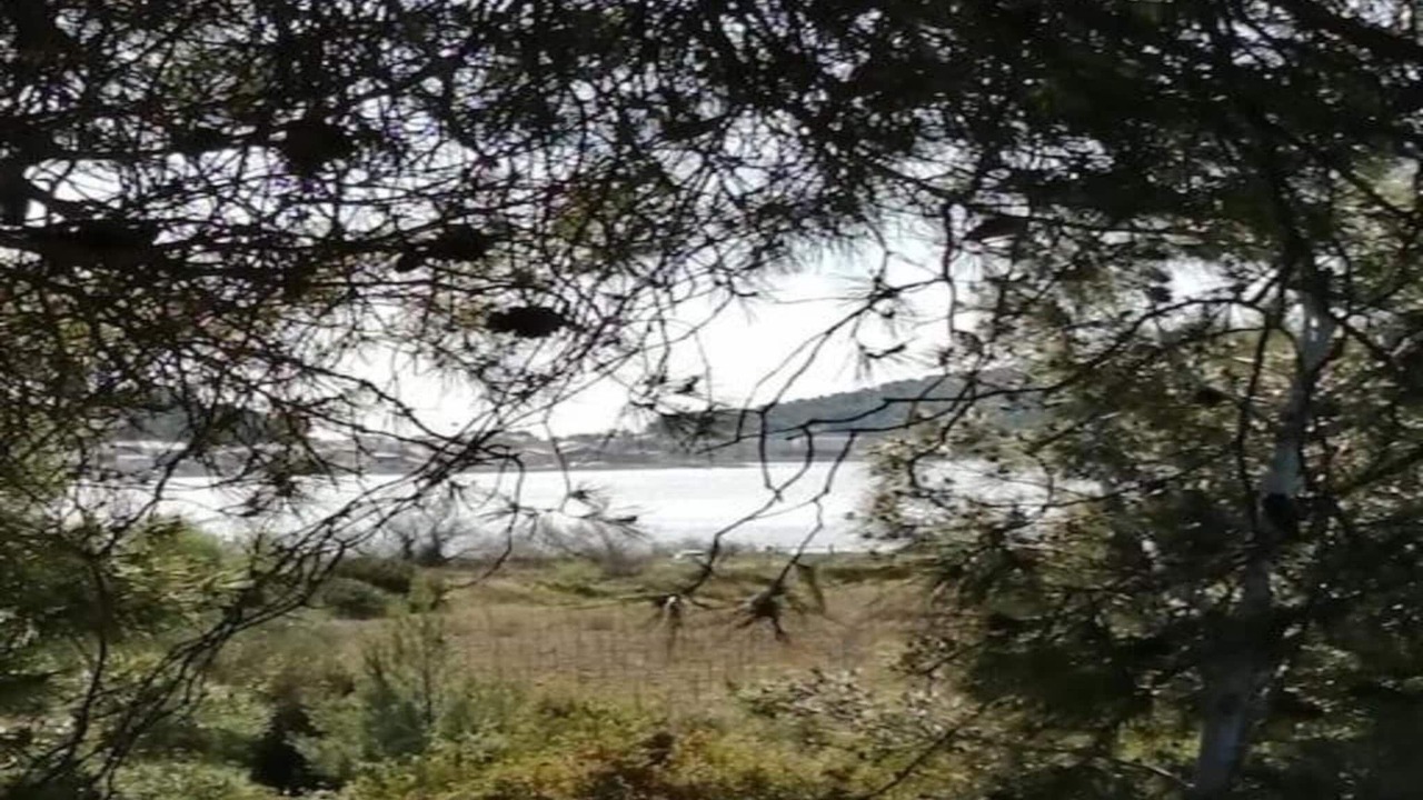 Photo of Others in Olonzac