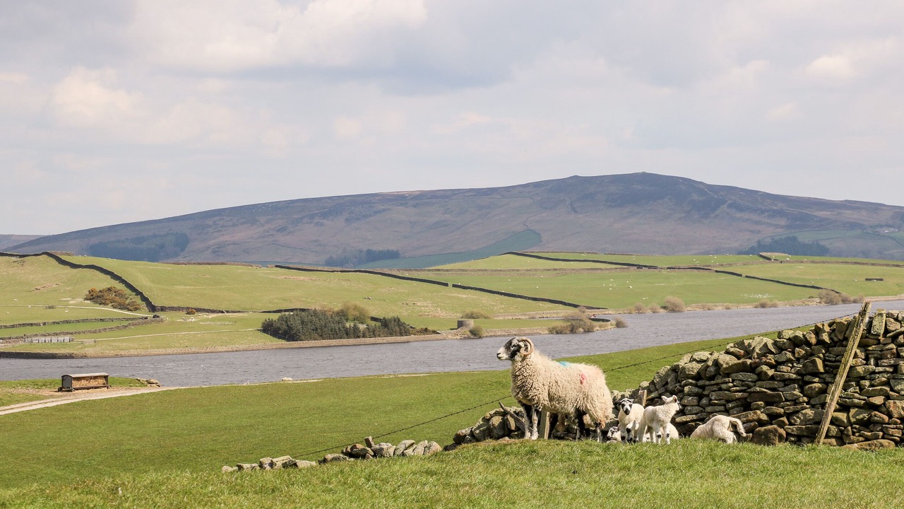 Photo of Others in Barnoldswick