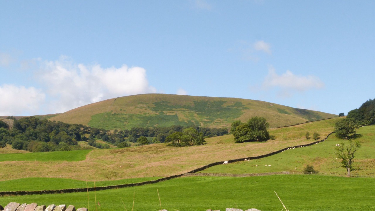 Photo of Others in Barnoldswick