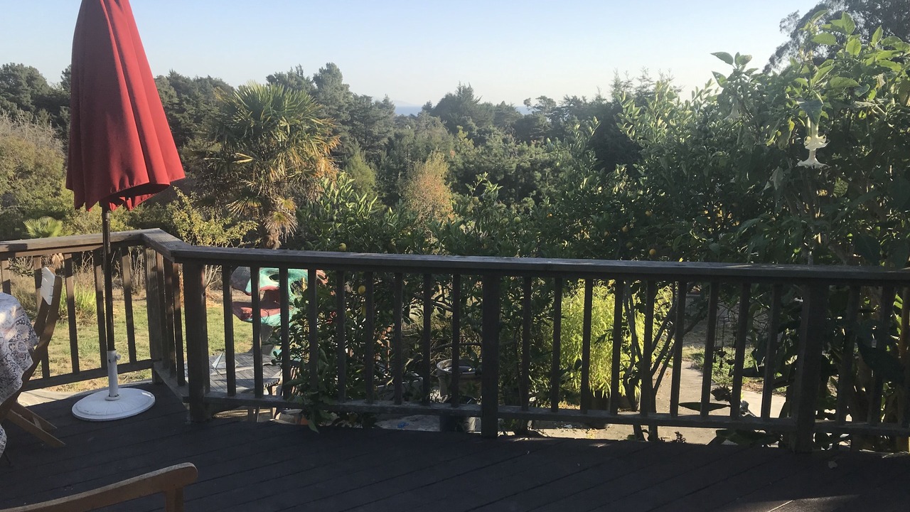 Photo of Outdoor in Marin County