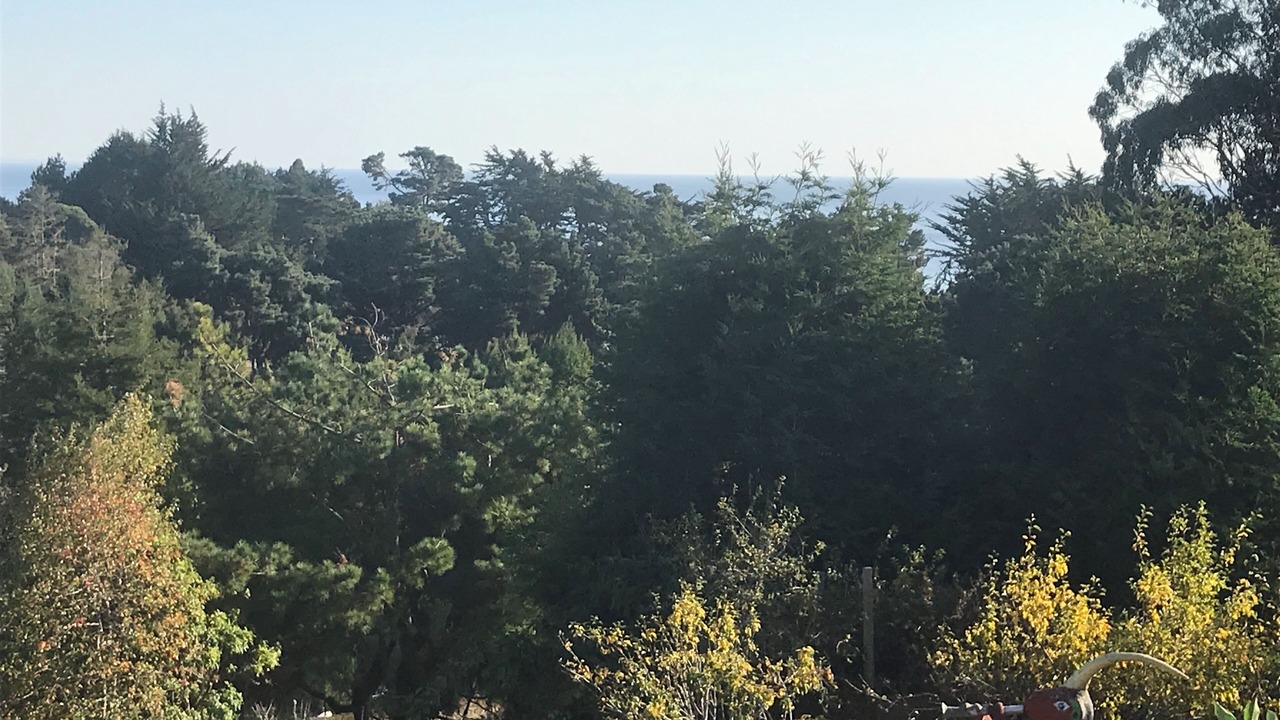 Photo of Outdoor in Marin County