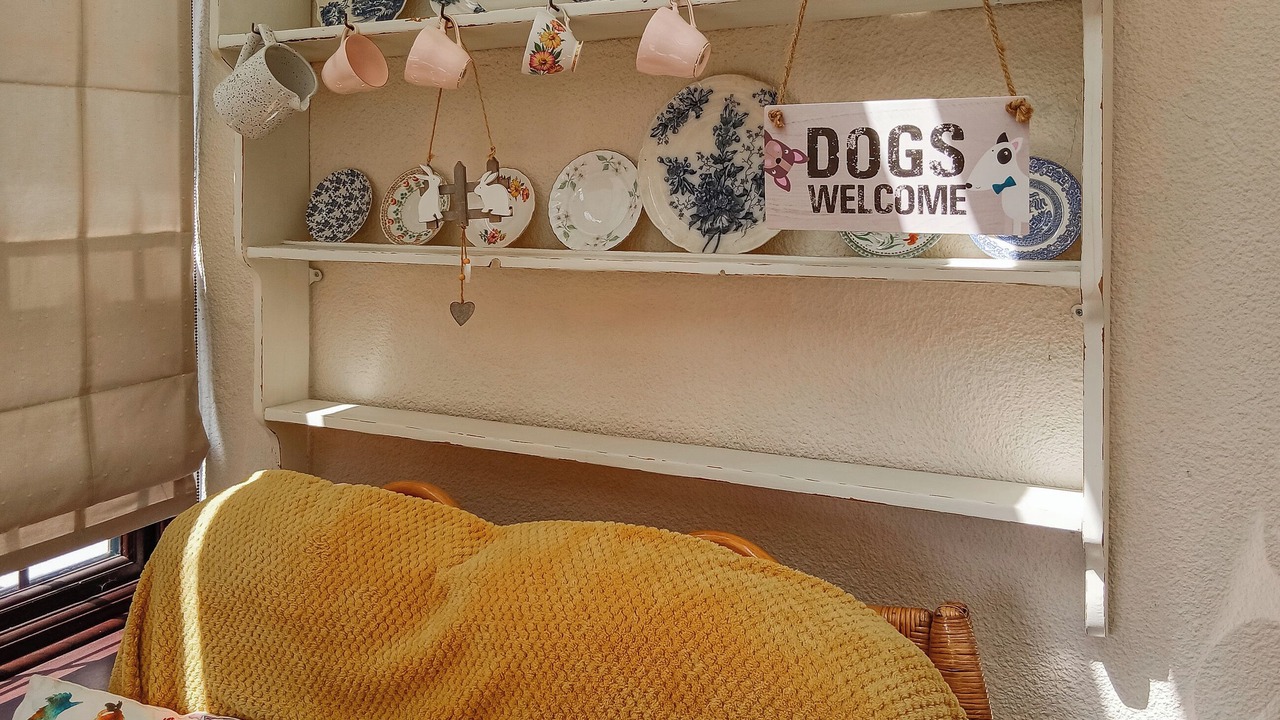 Photo of Outdoor in Blidworth