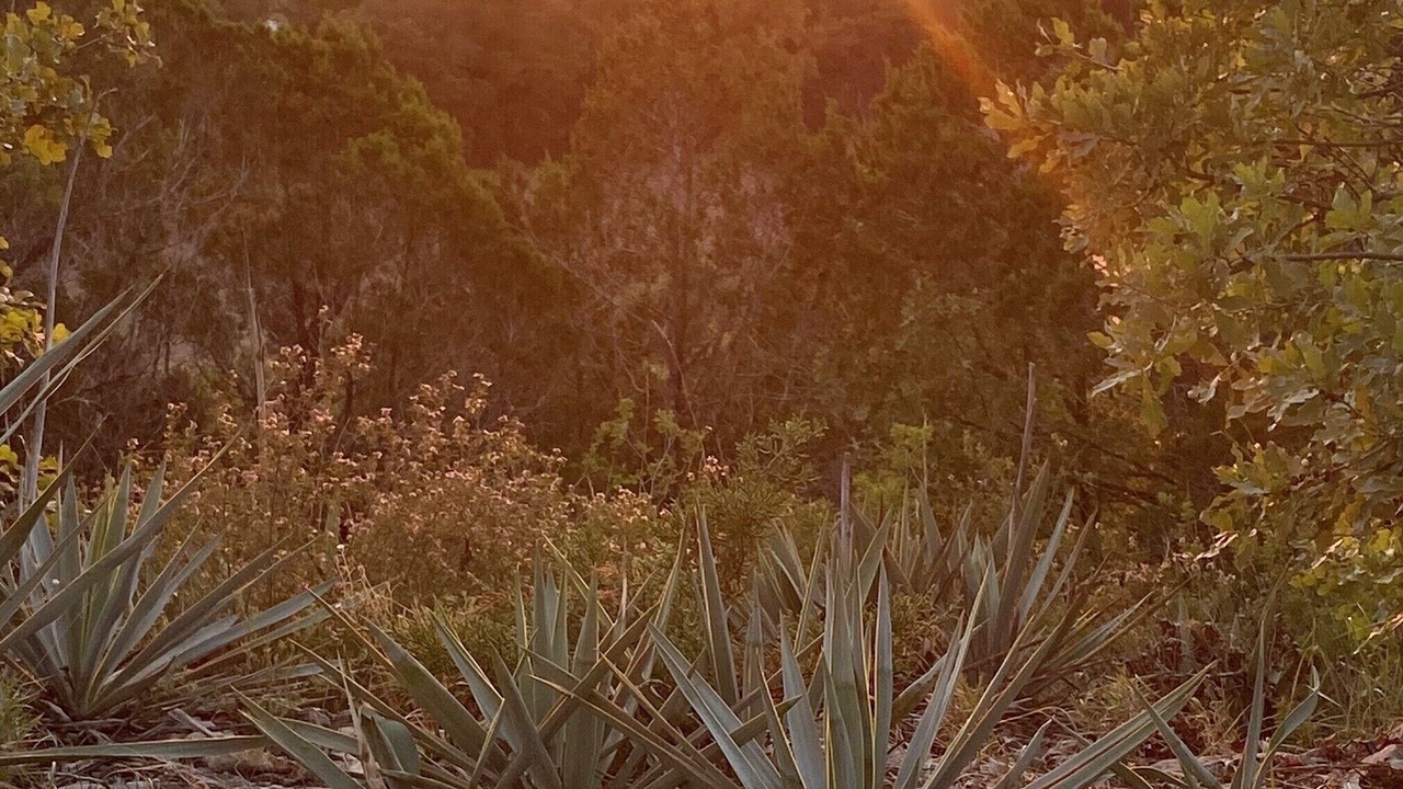 Photo of Outdoor in Glen Rose