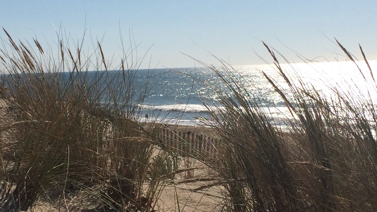 Photo of Others in Carcans Plage