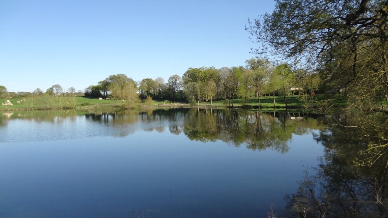 Photo of Outdoor in La Mothe-Achard