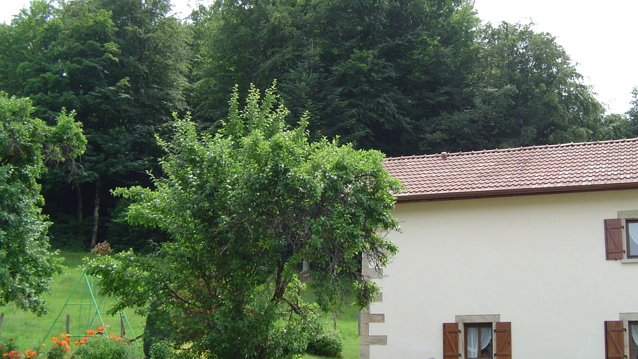 Photo of Outdoor in Le Val-d'Ajol